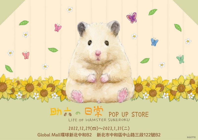 221221_popup_ (1)