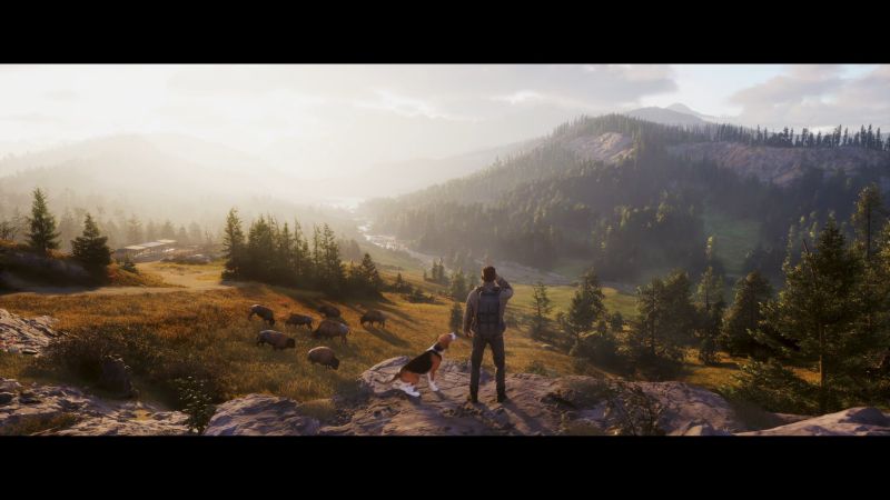 Next Hunting Adventure _ Announcement Teaser 1-11 screenshot