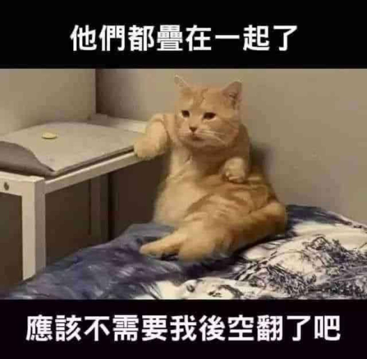 牠是真的會後空翻| 4Gamers