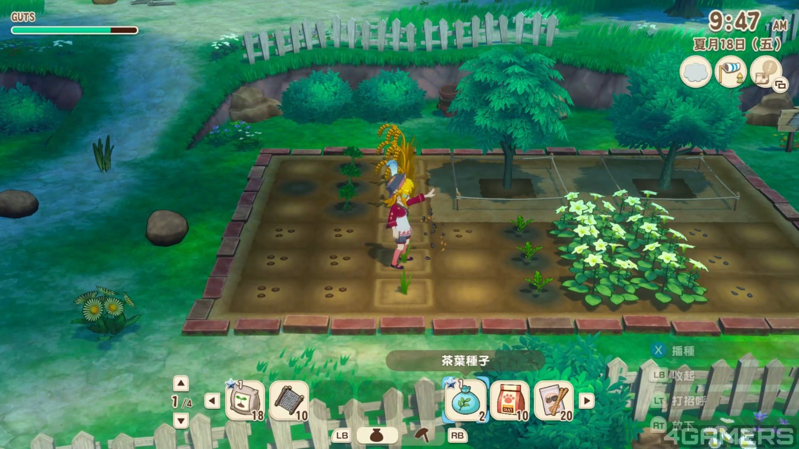 STORY OF SEASONS Grand Bazaar 2025-05-25 11-34-34.mp4_20250617_190258.048