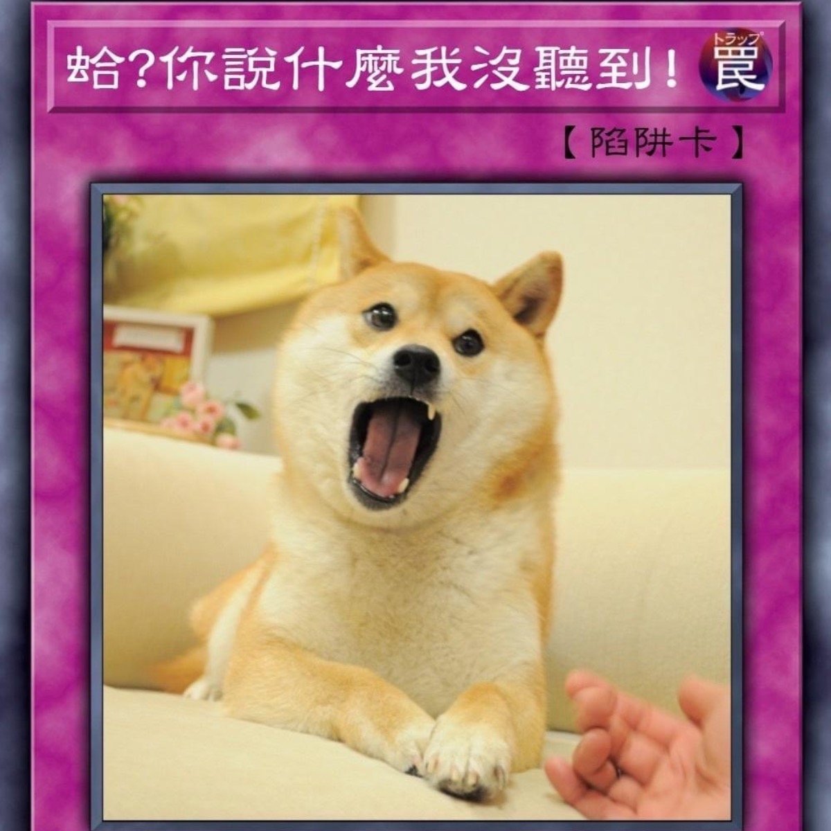 蛤？你說什麼我沒聽到！ | 4Gamers