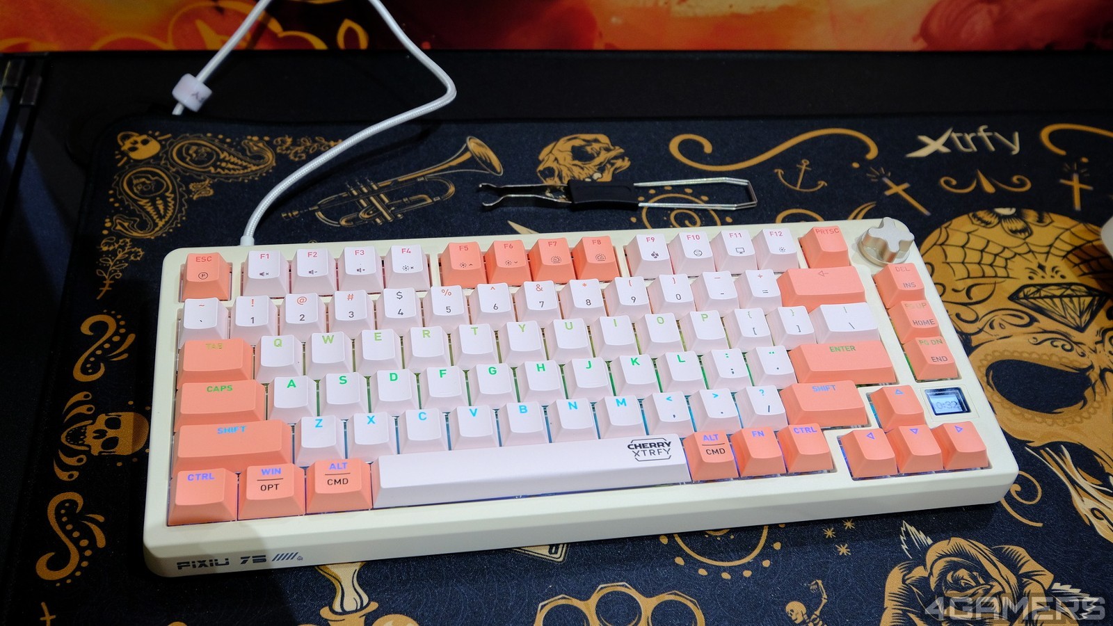 DSCF0323