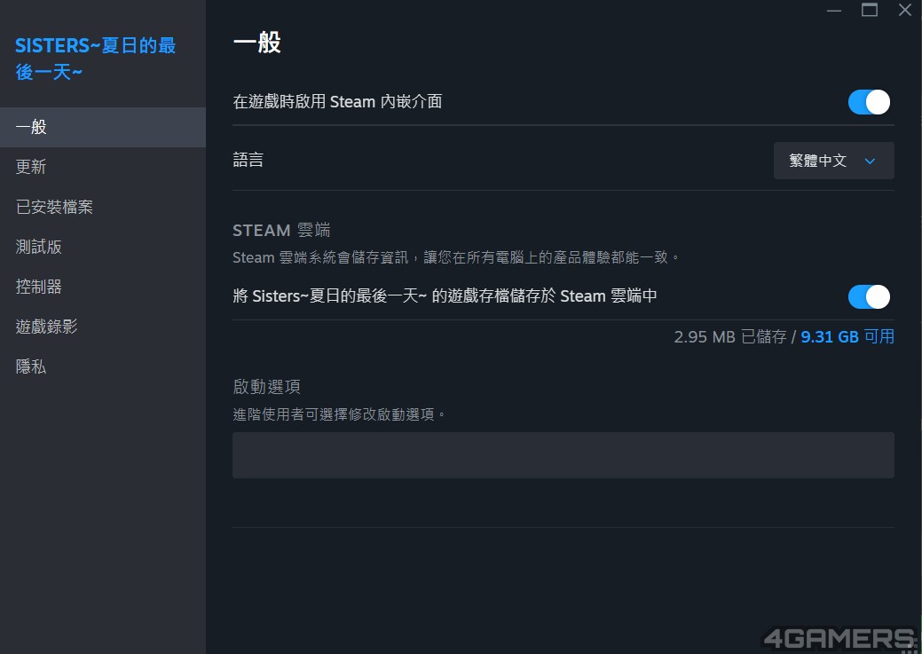 螢幕擷取畫面 2025-06-10 172629