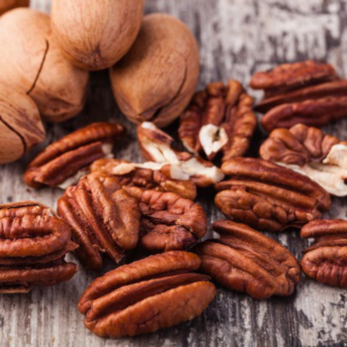 山胡桃 殼薄 無褶皺 個體較小 呈倒卵形 產自北美 山胡桃的果實具有極高的營養價值和獨特的口感風味 4gamers