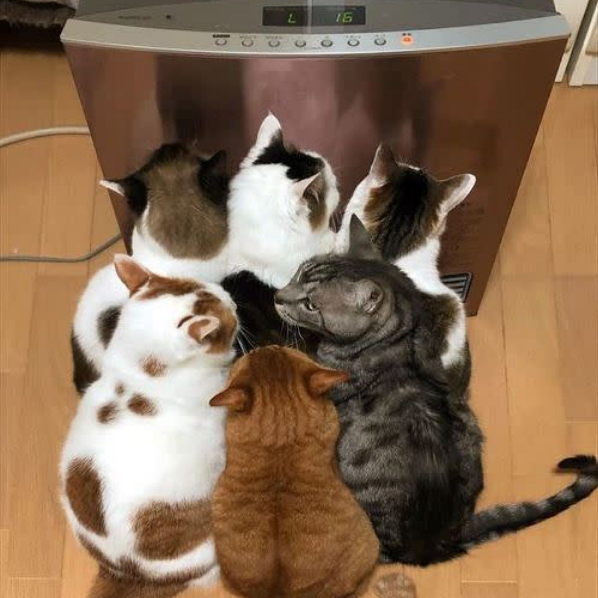 抱團取暖| 4Gamers