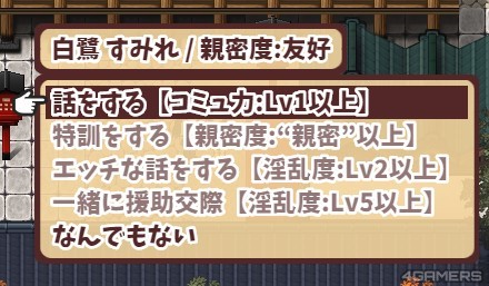 13_少女異聞錄