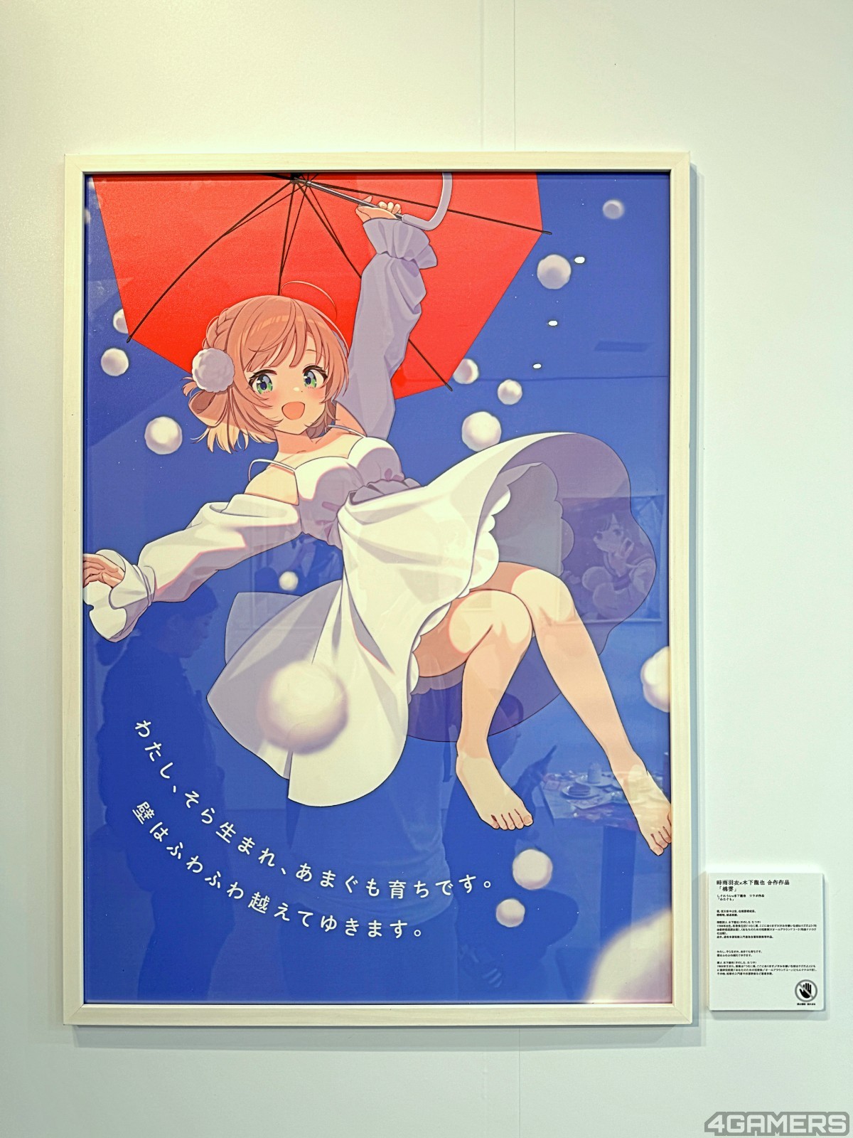 S__36020278_0