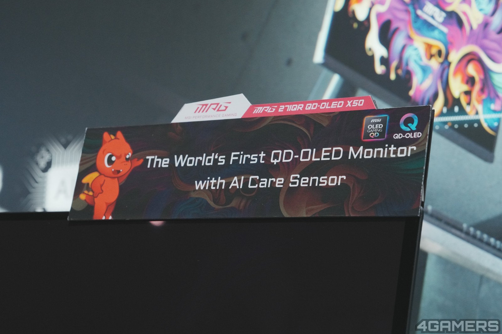 DSC03001