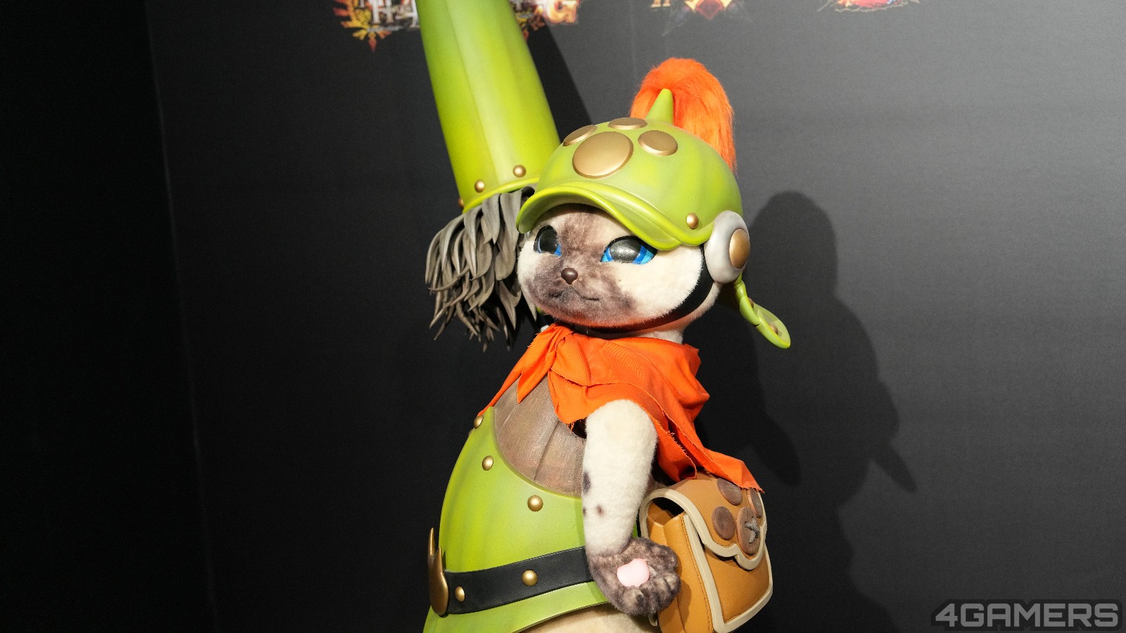 DSC09066