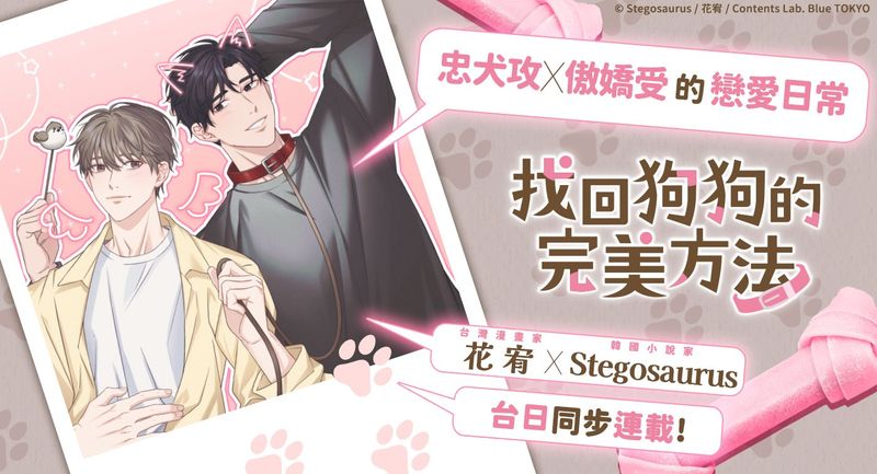 找回狗狗的完美方法
