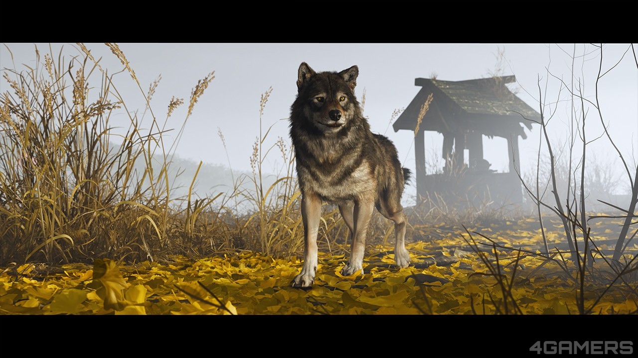 羊蹄山圖34