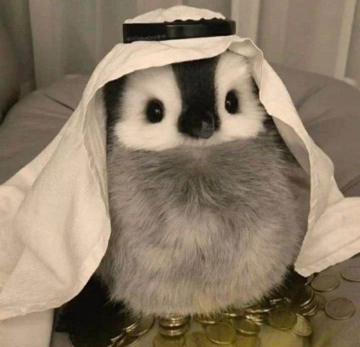 阿拉伯石油富豪| 4Gamers