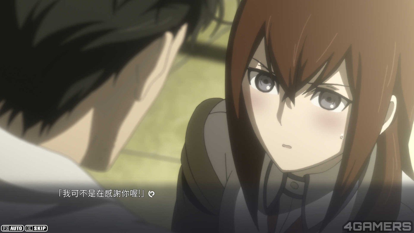 250126_steinsgate15