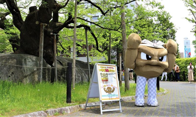 精靈寶可夢 小拳石 就任岩手縣應援吉祥物 那個腳是怎麼一回事 4gamers