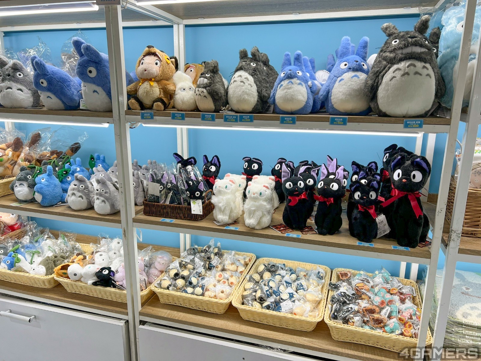 250107_ghibli (60)