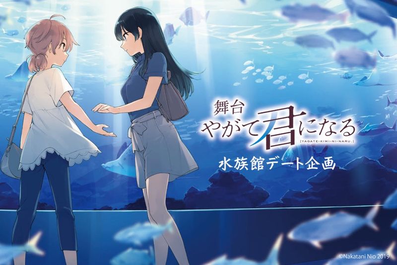 真香警告 舞台劇 終將成為你 水族館約會企劃募資破700萬日元 4gamers