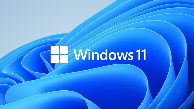 WIN 11