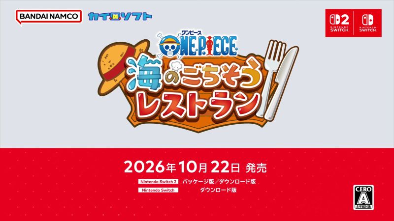 Nintendo Direct (25)