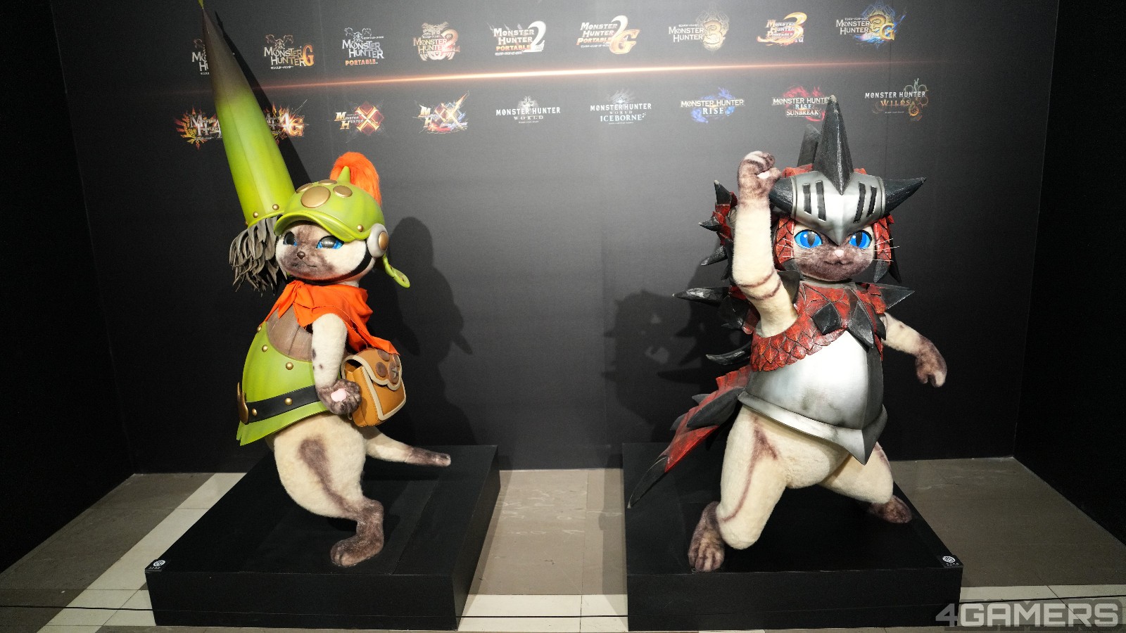 DSC09070