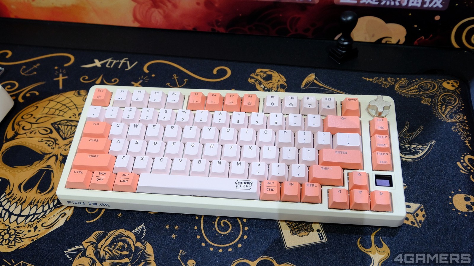DSCF0321