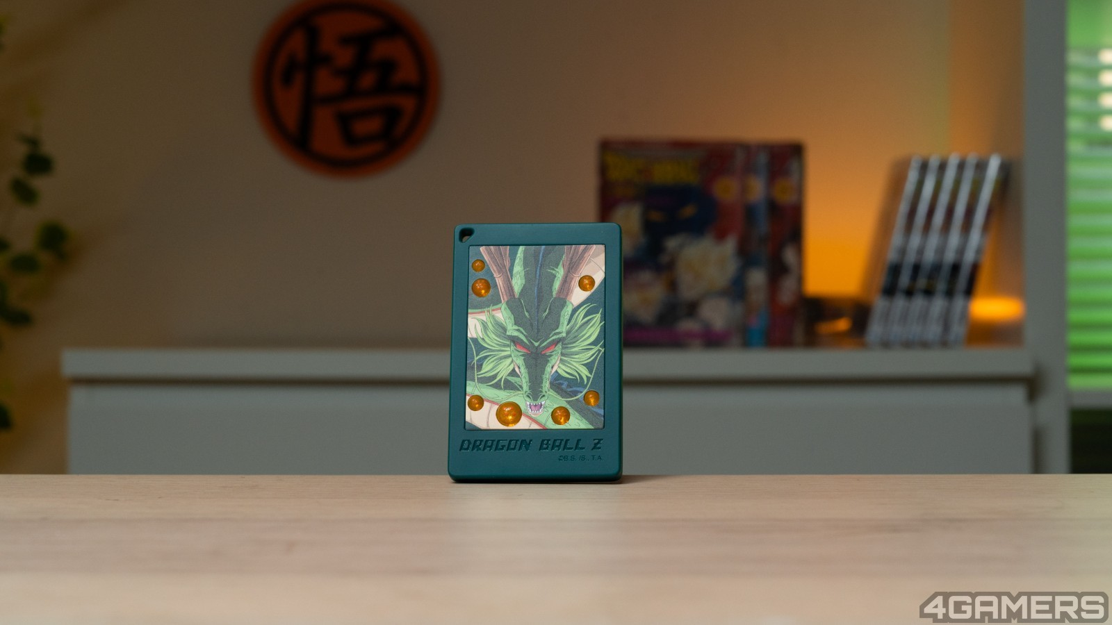 未命名拍攝7300127