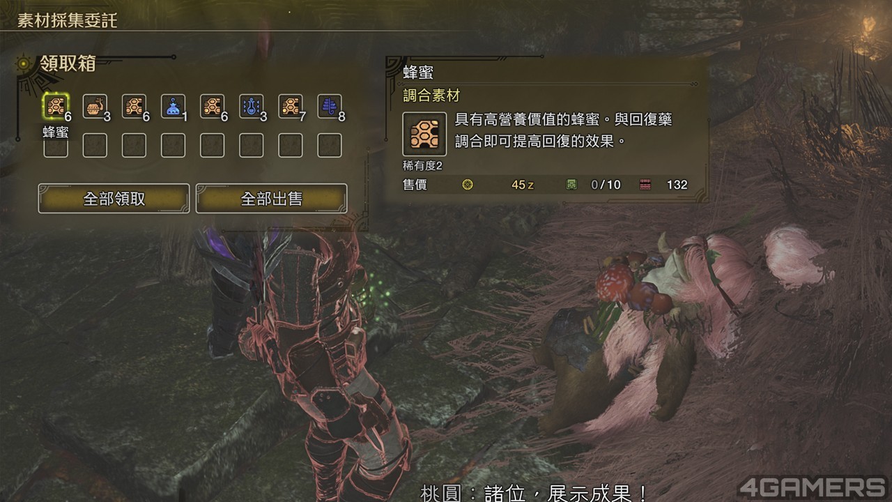 250312_wilds (9)