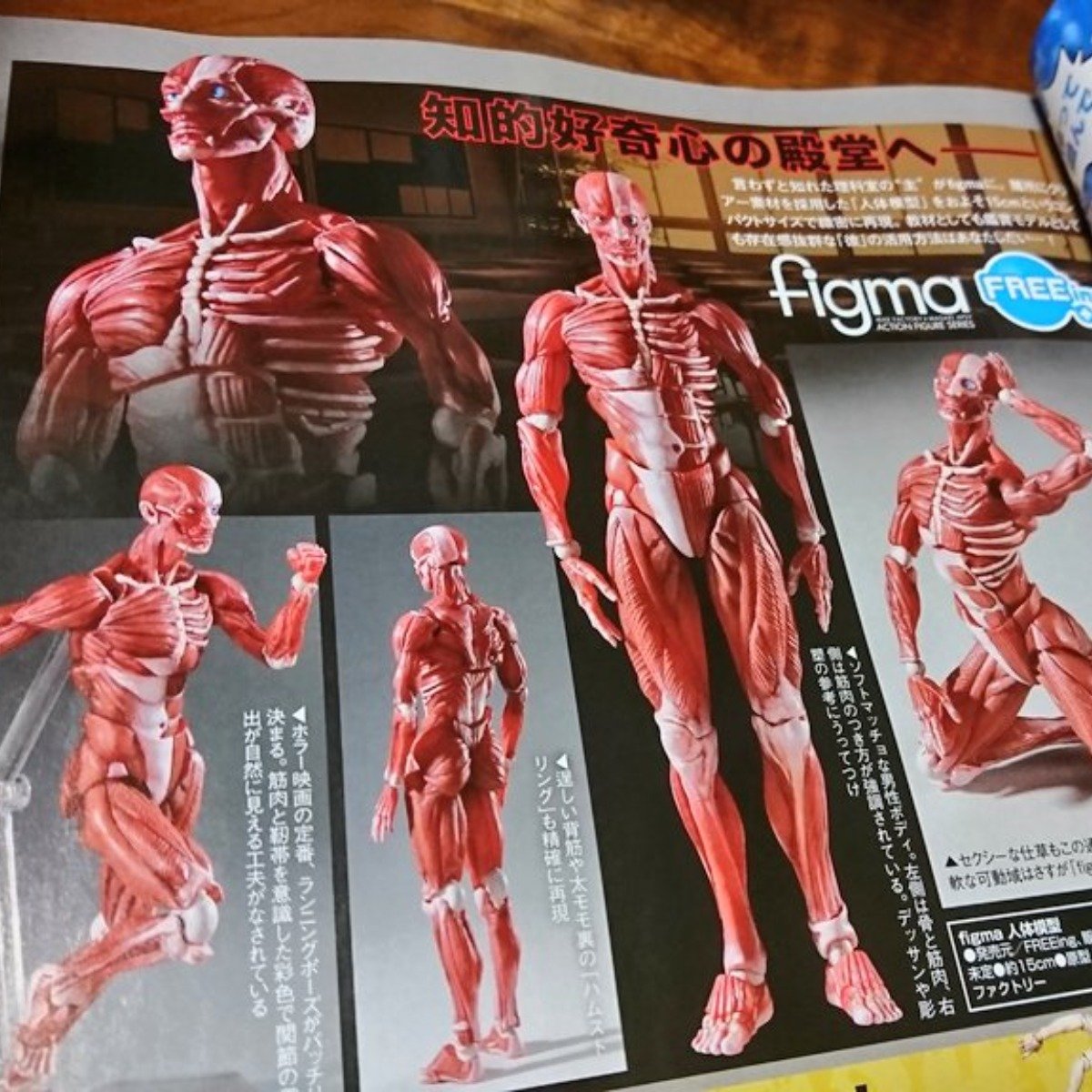 J個超大型巨人模型豪帥啊 4gamers