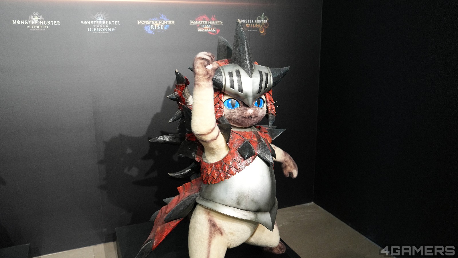 DSC09065