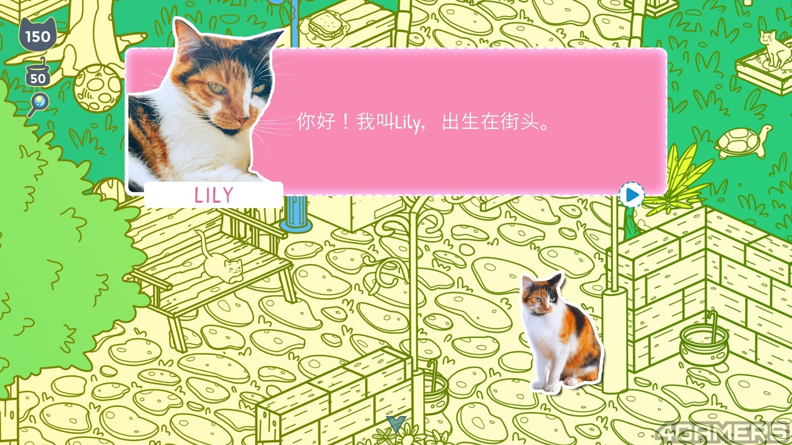 240812_cats (2)
